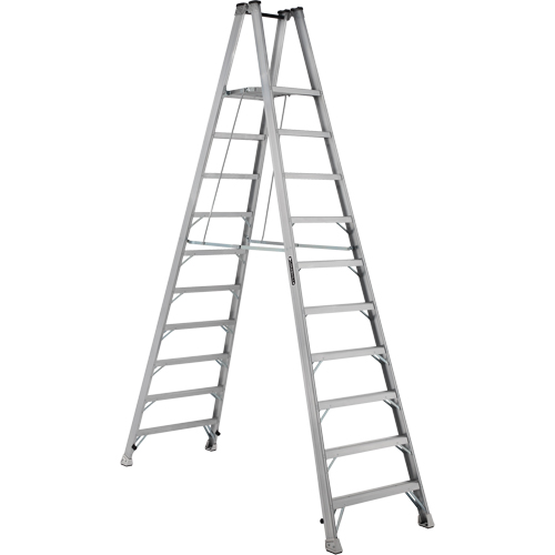 silver ladder